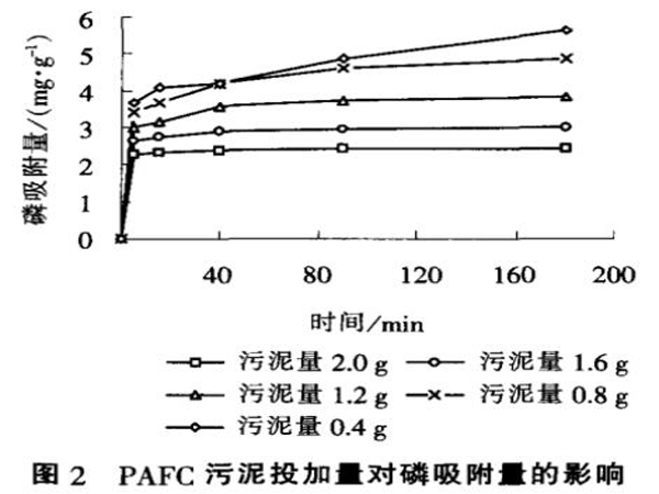 圖2聚合氯化鋁鐵污泥投加量對磷吸附量的影響