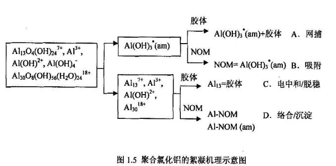 圖1.5 聚合氯化鋁的絮凝機理示意圖